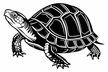 box turtle sihouette black vector