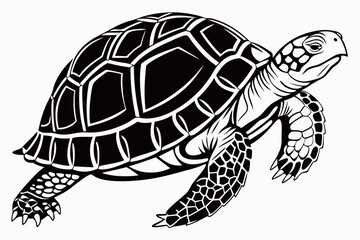 box turtle sihouette black vector