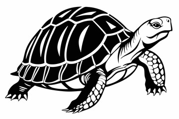 box turtle sihouette black vector