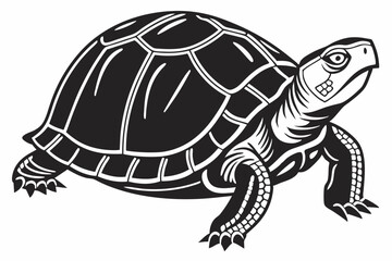 box turtle sihouette black vector