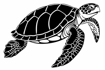 box turtle sihouette black vector