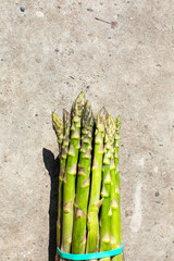Springtime asparagus spears basking in sunlight, culinary delight for Ostara celebrations, symbol...
