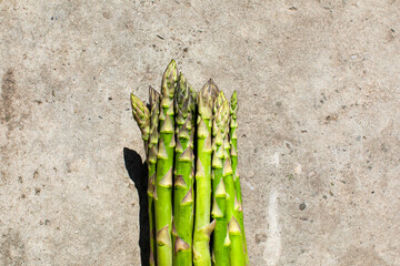 A cluster of vertical, sunlit asparagus stalks, invoking themes of vernal equinox renewal and...