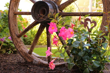 old wagon wheel