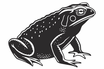 cane toad silhoette black vector