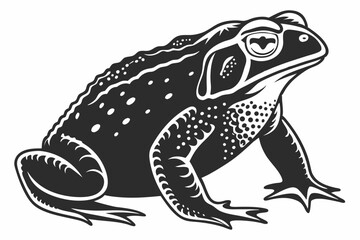 cane toad silhoette black vector