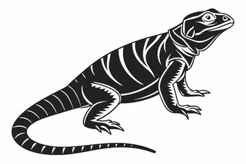 Chuckwallas sihouette black vector