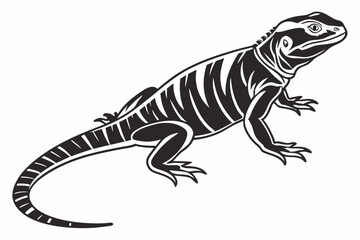 Chuckwallas sihouette black vector