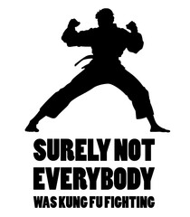 Surely not everybody was kung Fu fighting. Funny design for kung Fu fans