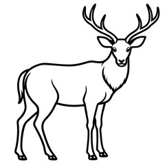 Wildlife Duo Wapiti and Vole Vector Sketch