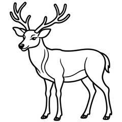 Wildlife Duo Wapiti and Vole Vector Sketch