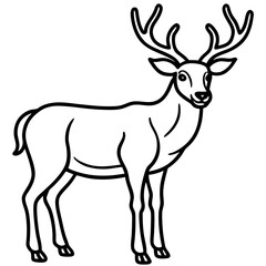 Obraz premium Wildlife Duo Wapiti and Vole Vector Sketch