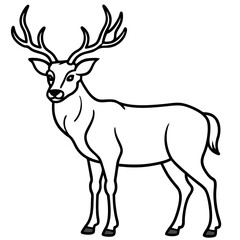 Fototapeta premium Wildlife Duo Wapiti and Vole Vector Sketch