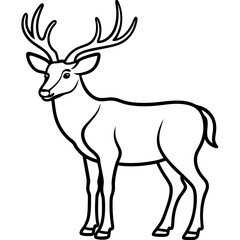 Wildlife Duo Wapiti and Vole Vector Sketch