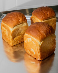 Golden, pillowy milk bread basks like buttery clouds, evoking Japans Shokupan Day and cozy kitchen alchemy