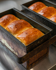 Golden brioche loaves glisten with buttery promise, perfect for cozy harvest gatherings or...