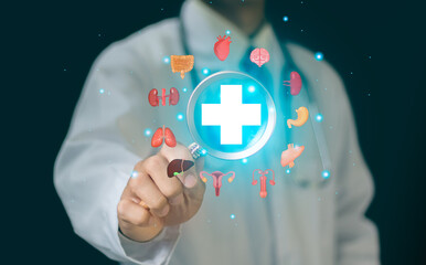 Doctor holding magnifier to examine internal organ for treatment and health care with plus signs insurance hospital and welfare.