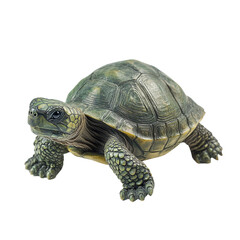 Fototapeta premium A green turtle statue isolated on black background a detailed closeup view showing its shell legs and head
