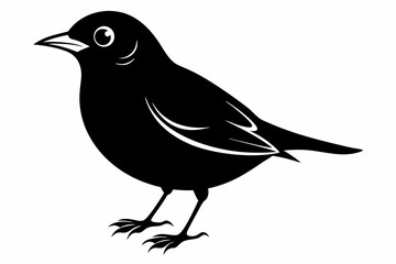 lark bird sihouette black vector