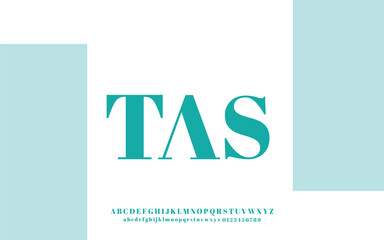 Bold and Stylish Serif Font for Professional Branding and Display Use

