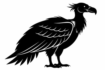 condor bird sihouette black vector