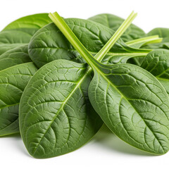 Fresh spinach leaves isolated on white background
