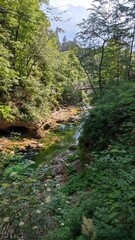 Vintgar Gorge in Slovenia with turquoise river, wooden walkways, and steep rocky cliffs. A stunning natural attraction near Lake Bled, perfect for hiking and nature photography.

