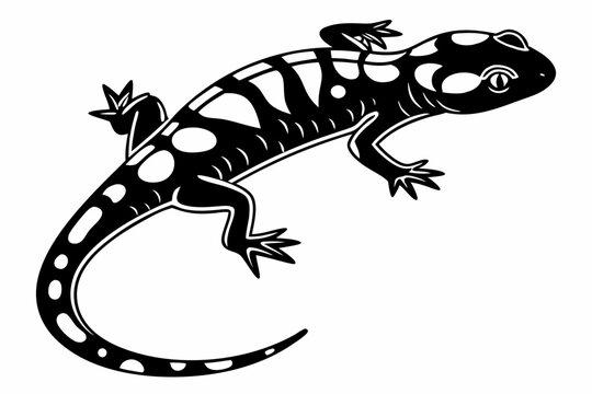 black and white salamander drawing clip art preview