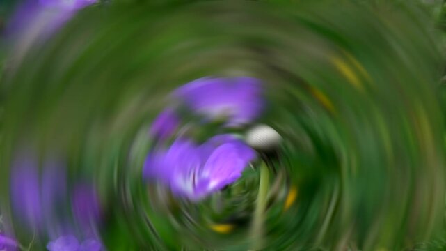 A vibrant abstract swirl of purple flowers and green leaves in circular motion, creating a dynamic artistic illusion of spinning nature and floral energy.
