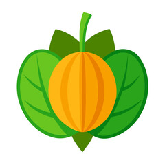 vector illustration of Pumpkin leaf