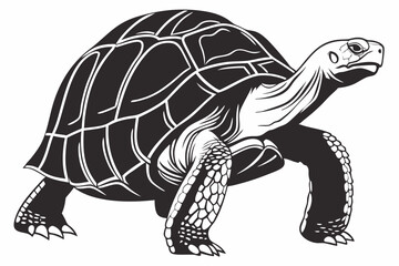 gal pagos tortoise sihouette black vector