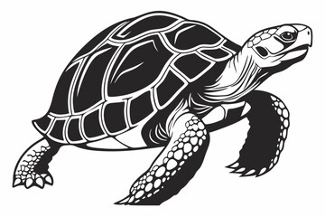 gal pagos tortoise sihouette black vector