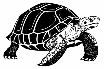 gal pagos tortoise sihouette black vector
