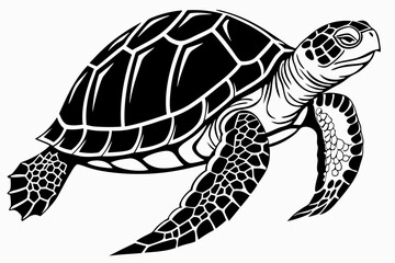 gal pagos tortoise sihouette black vector