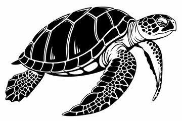 gal pagos tortoise sihouette black vector