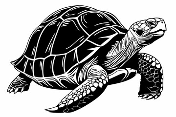 gal pagos tortoise sihouette black vector