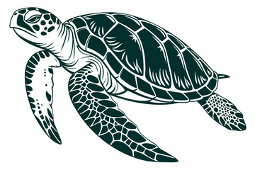 Fototapeta premium green sea turtle sihouette black vector