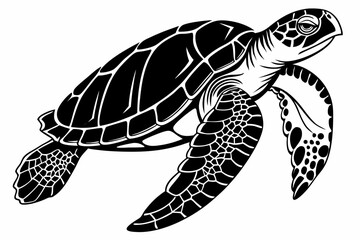 green sea turtle sihouette black vector
