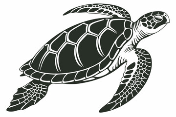 green sea turtle sihouette black vector