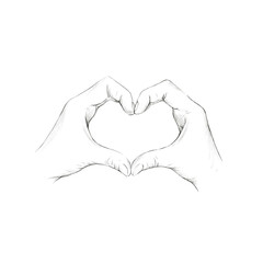 Hand gesture heart.  Pencil drawing. Fine art. Drawing lessons.  Communication.  