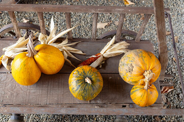 Rustic autumn harvest display on wooden cart