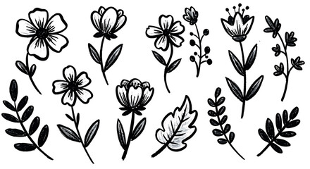 Black and White Hand-Drawn Floral and Leaf Doodle Collection