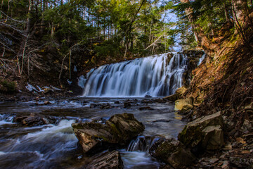 Obraz premium waterfall in the forest