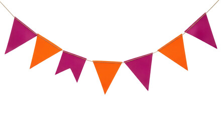Isolated Colorful Pennant Banner
