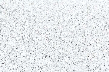 Water Droplets on a Transparent Surface