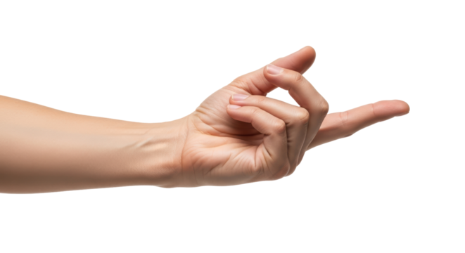 Isolated Hand Gesture