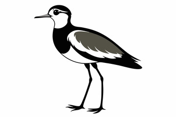lapwing sihouette black vector