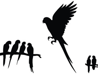 Parrot macaw silhouette vector set