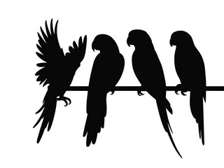 Black parrot silhouette set, macaw collection, vector illustration