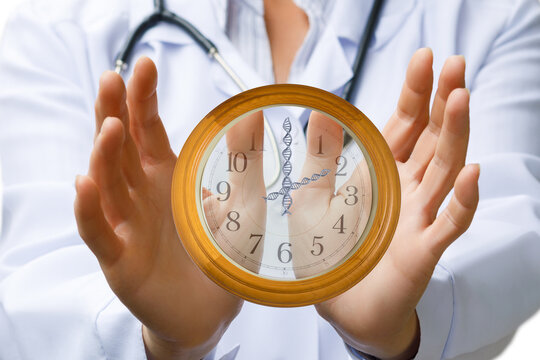 Understanding genetic clocks and life expectancy.